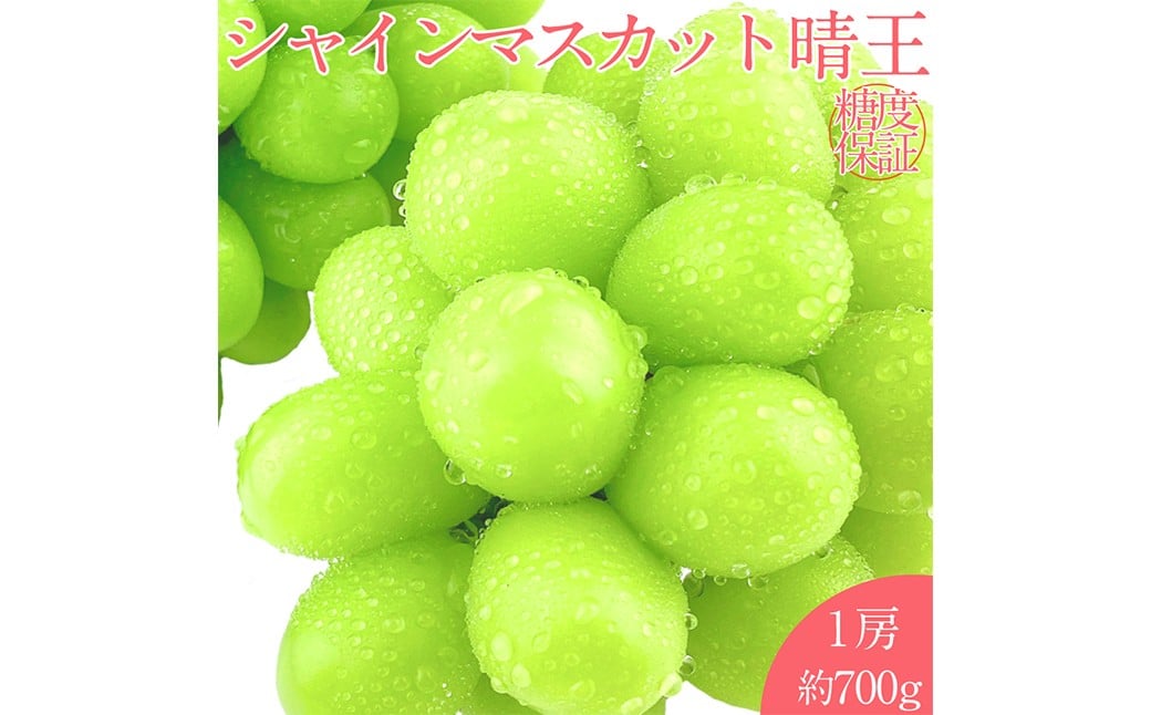 
            晴王 シャインマスカット晴王 1房 約700g 【先行予約：2026年7月上旬～8月下旬発送予定】 岡山県産 種無し 皮ごと食べる みずみずしい 甘い フレッシュ 温室栽培 晴れの国 おかやま 果物大国 満天フルーツ 冷蔵 岡山県 倉敷市
          