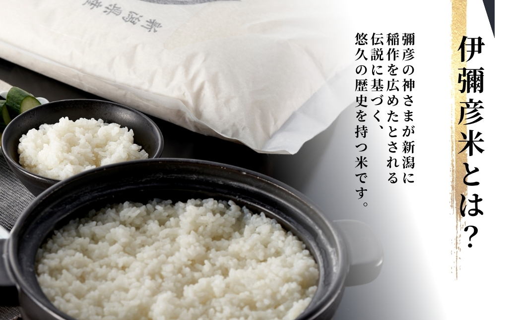 令和8年産新米先行予約 特別栽培米コシヒカリ「伊彌彦米」5kg(5kg×1袋) 精米) | 新潟産コシヒカリ 新潟県産コシヒカリ 新潟県産こしひかり お米 白米 精米 こしひかり 5キロ ギフト 贈答