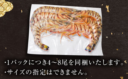 伊万里産 冷凍車海老 250g×2袋（加熱用・訳あり) / 佐賀県 / 株式会社 拓水 伊万里クルマエビセンター[41AEAJ011]
