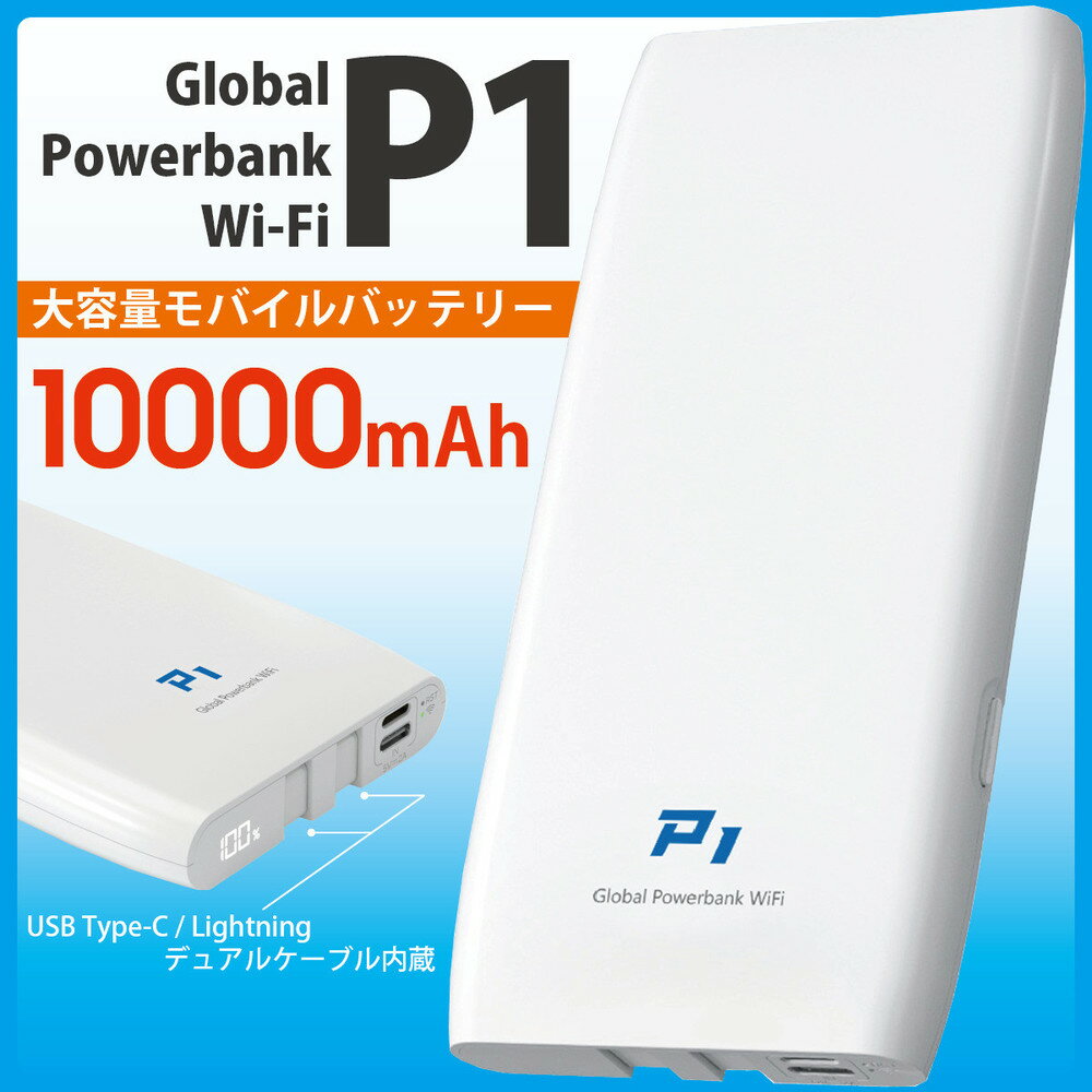 【ふるさと納税】(福岡市)10000mAh モバイルバッテリー P1 [多機能搭載]