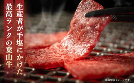【葉山牛】800g　ロース焼肉用 ／ 焼肉 和牛 牛肉 焼き肉【葉山牛ステーキレストラン 角車】[ASBD007]