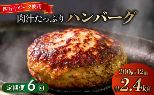 6ヶ月定期便 四万十ポーク入りハンバーグ 2.4kg(200g×12個) 冷凍 真空 小分け 個包装 肉汁たっぷり ハンバーグ 大容量 ハンバーグ 合挽き ハンバーグ 牛肉 ハンバーグ 豚肉 ハンバーグ  お弁当 おかず 惣菜 晩ごはん 贅沢 SNM1000