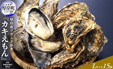 生食用 牡蠣 カキえもん Lサイズ 15個セット 北海道 厚岸産 牡蠣