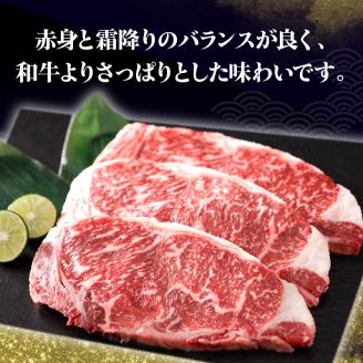 北海道浜中黒牛サーロインステーキ3枚(約510g)_190403