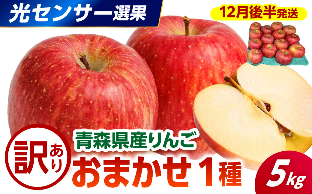 【2026年12月後半発送】【訳あり】 りんご 約5kg 品種おまかせ1種 青森産