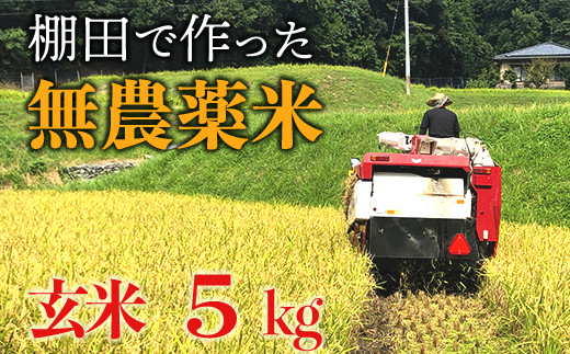 【新米】赤村産棚田米こだわりの夢つくし（玄米）5kg J1-S