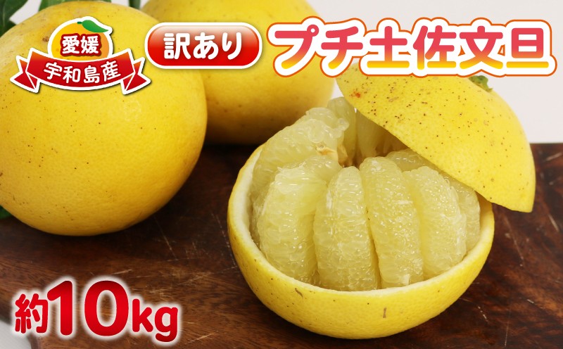 
                  文旦 訳あり プチ 土佐文旦 10kg 杉本屋 わけあり 訳あり品 ぶんたん 果物 くだもの フルーツ 柑橘 蜜柑 みかん mikan ミカン 訳アリ 訳ありみかん ビタミン デザート 愛媛みかん 愛媛ミカン 産地直送 数量限定 国産 愛媛 宇和島 B010-143026
                