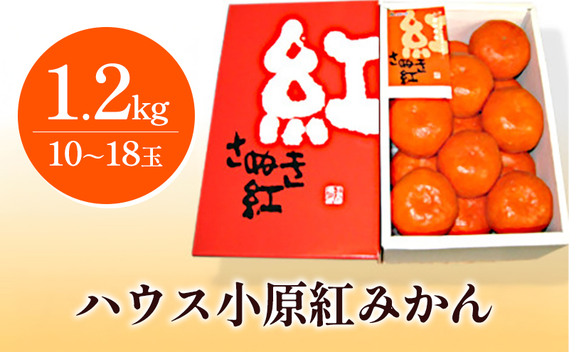 ハウス小原紅早生みかん（さぬき紅）約1.2kg 柑橘類 果物類 フルーツ 