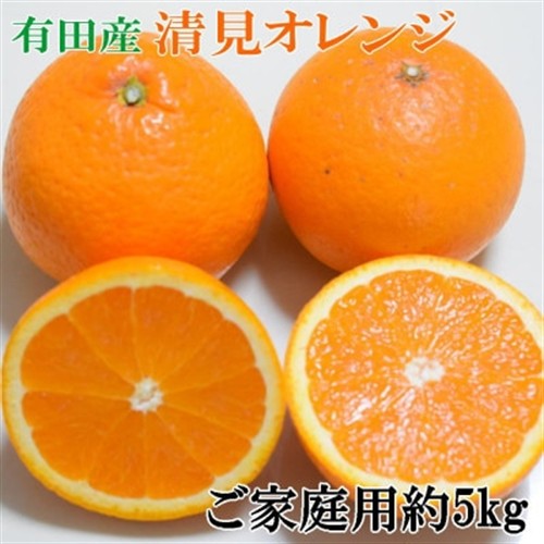 【濃厚】有田産清見オレンジ約5kg(M～3Lサイズおまかせ)ご家庭用(九度山町)【1506347】