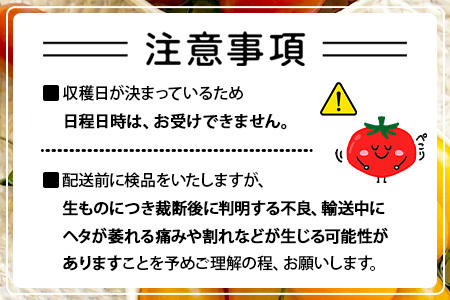 岩永さんちの カラフル ミニトマト | アイコ赤･黄MIX 3kg |【農林水産大臣賞受賞】有機肥料・化学肥料不使用 | 生産者直送 野菜 トマト 3kg とまと プチトマト サラダ やさい 旬 新鮮
