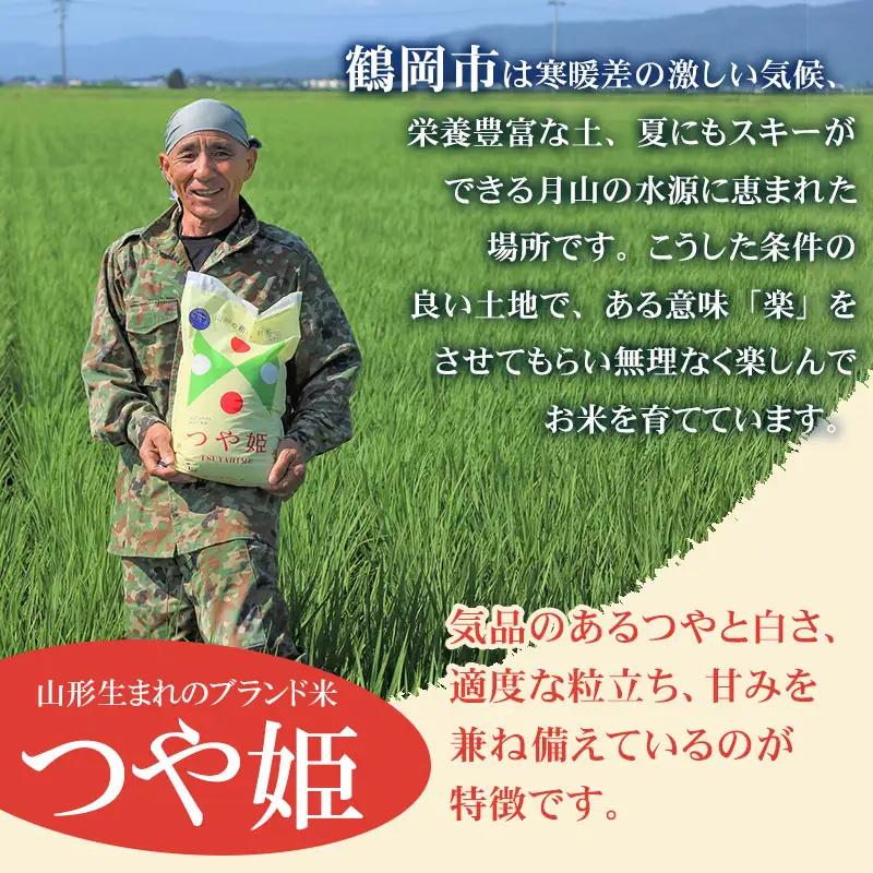 【令和8年産先行予約】【令和8年11月23日～11月29日発送】 工藤さんの特別栽培米 つや姫 無洗米 10kg（5kg×2袋） 山形県鶴岡市産 株式会社サンエイファーム　| 米 つや姫 10kg 特