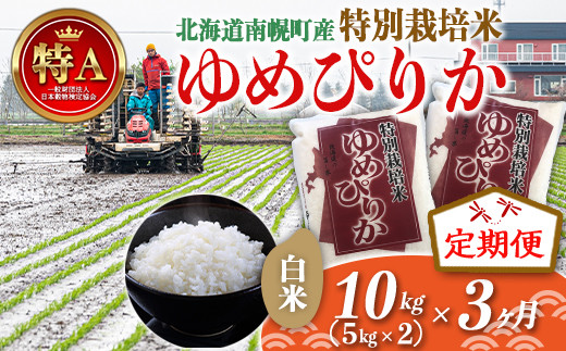 《定期便》特別栽培米 ゆめぴりか（白米）5kg×2袋×3ヵ月 令和6年産 今摺り米 NP1-410