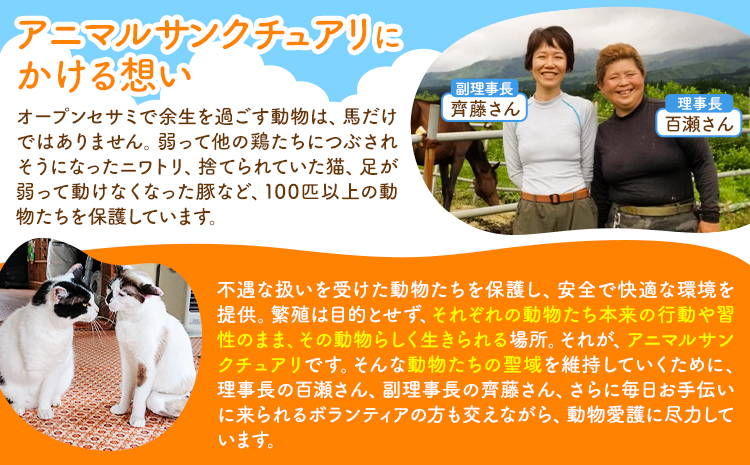 【返礼品なし】引退馬余生支援寄附 3,000,000円 一般社団法人オープンセサミアライブ 熊本県 南阿蘇村 馬 ウマ 支援 競走馬 引退馬 生活支援 動物愛護 保護 返礼品なし 寄附 牧場 オープン