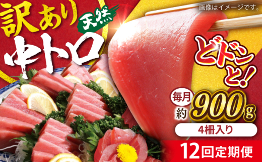 【全12回定期便】【訳あり】天然 まぐろ 中トロ メバチ 計約900g (4柵入り) マグロ 定期 鮪 まぐろ 中とろ 刺身  定期便【横須賀商工会議所 おもてなしギフト事務局（本まぐろ直売所 横須賀本店）】 [AKAK052]