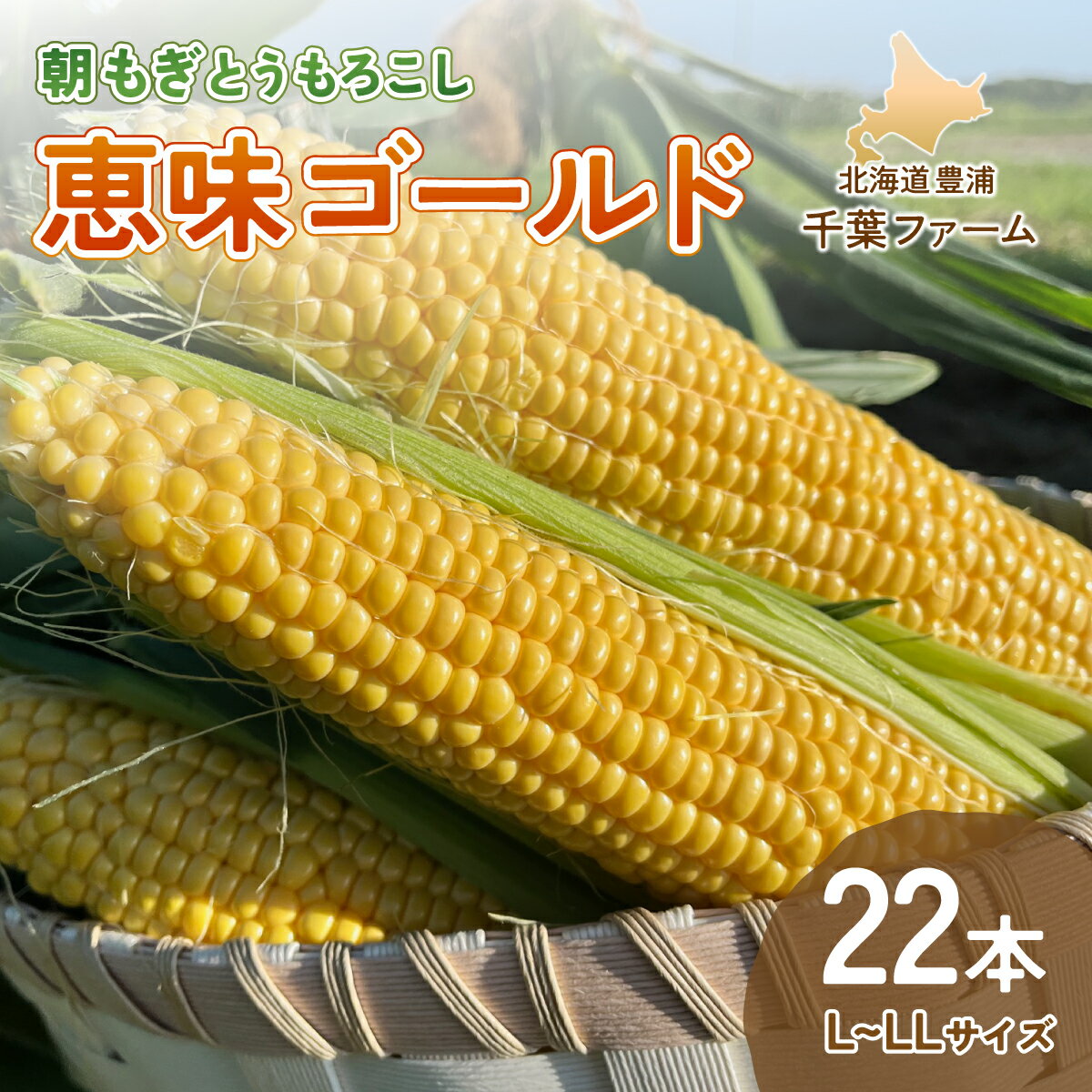 【ふるさと納税】【2025.8月以降順次出荷】北海道 豊浦 千葉ファーム 朝もぎ とうもろこし 恵味ゴールド 22本 L～LLサイズ 【 ふるさと納税 人気 おすすめ ランキング 野菜 とうもろこし 国産 大容量 サイズ 新鮮 北海道 豊浦町 送料無料 】 TYUY002