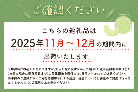 ＜数量限定＞しんとみアールスメロン 2L2玉 計3kg以上 先行予約 国産 フルーツ 果物 宮崎県産 ※2025年11月〜12月の期間内に出荷【B520-01】