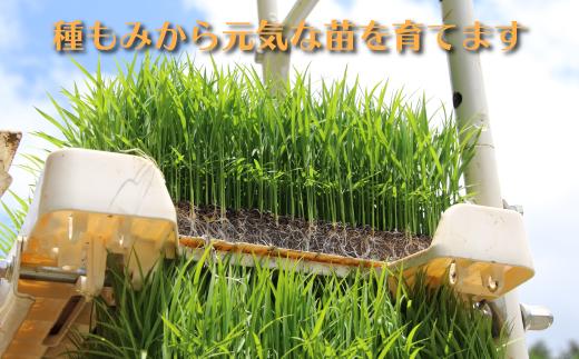 【令和8年産新米予約】南魚沼産コシヒカリ　特別栽培米　八富米　　八海山の雪解け水が育むお米　無洗米５ｋｇ【2026年10月中旬から1ヶ月以内に順次発送予定】