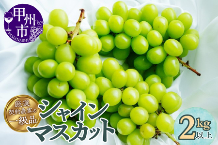 厳選契約農家の一級品 シャインマスカット2kg以上 3～5房【2026年配送】（SFL）C-430 【シャインマスカット 葡萄 ぶどう ブドウ 令和8年発送 期間限定 山梨県産 甲州市 フルーツ 果物】
