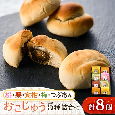 ふるさと納税 あきる野市 おこじゅう詰め合わせ(8個入)【お茶ぞっぺの中島屋(あきる野の匠)】
