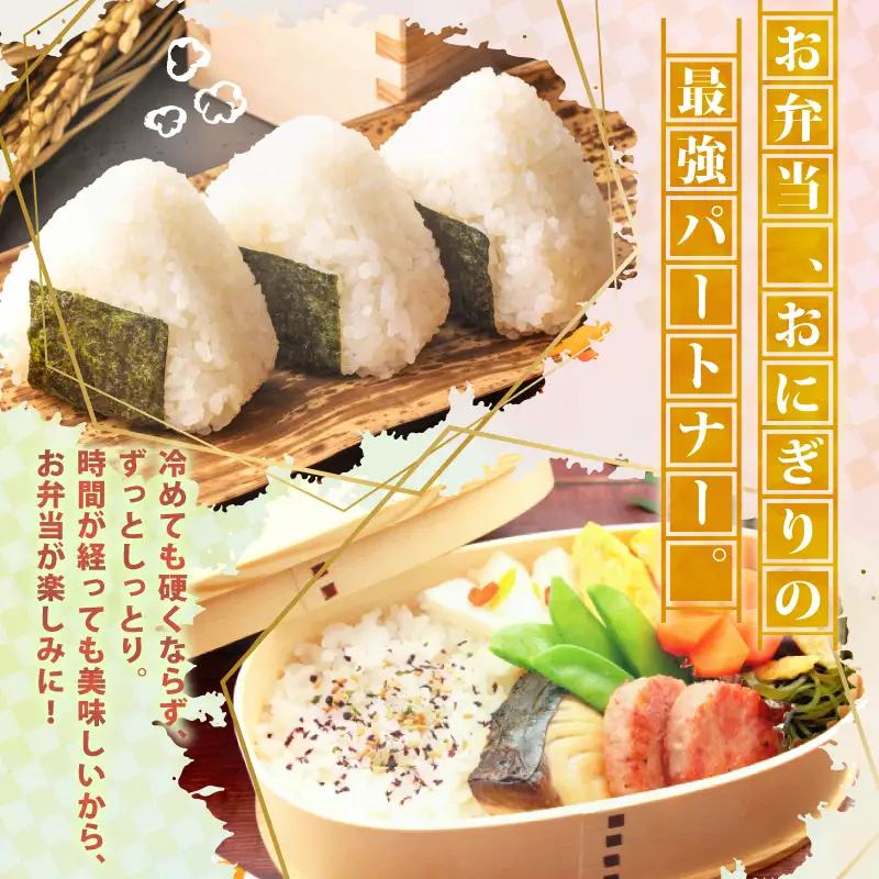 【令和8年産 先行予約】 ミルキークイーン 5kg 5か月 定期便 新潟県産 5回 5ヶ月 特栽米 特別栽培米 ミルキー 新発田産 新潟 ふるさと納税 米 お米 アグリ中俵 特別栽培米 白米 米 お米
