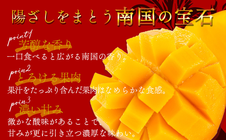 ＜宮崎県産完熟マンゴー 太陽のタマゴ  3L 合計2玉＞入金確認後、2025年7月初旬迄に順次出荷【 選べる 大きさ サイズ 国産 かんじゅく とろける 果物 果実 フルーツ 南国 芳醇 甘い 旬 濃