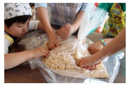 みそづくりキット (出来上がり量 約４kg) | 手づくり 体験 若松味噌醤油店