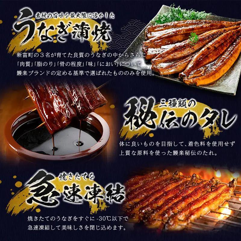 うなぎ蒲焼2尾 隔月定期便 全3回 計1kg 8月10月12月お届け E192-26-081012