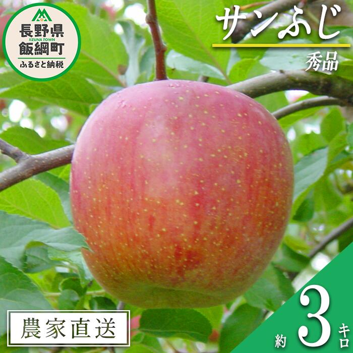 【ふるさと納税】 りんご サンふじ 秀 3kg 宮本ファーム 令和7年度収穫分 長野県 飯綱町 〔 リンゴ 林檎 果物 フルーツ 信州 長野 14000円 予約 農家直送 〕 発送時期：2025年12月上旬〜2025年12月下旬