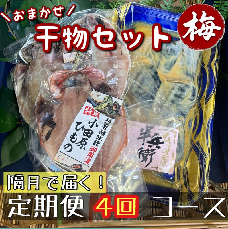 【隔月定期便4回】厳選！小田原の旬の干物セット 梅【 まぐろや 神奈川県小田原市 】 142069_DQ285