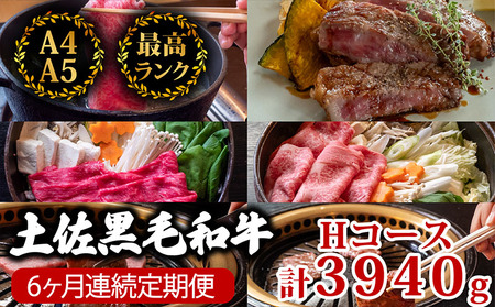 【6回定期便】土佐黒毛和牛 食べ比べ 3940g (計3.9kg以上) | Hコース 厳選 国産 和牛 すき焼き しゃぶしゃぶ ステーキ 焼き肉 お肉 にく 霜降り 牛肉 ウデ肉 うで肉 モモ肉 もも肉 サーロイン リブロース 人気 贈答 ギフト プレゼント 小分け 数量限定 6ヵ月 頒布会 老舗 たけうちミート 高知県 須崎市　和牛牛肉定期便和牛牛肉定期便和牛牛肉定期便和牛牛肉定期便和牛牛肉定期便和牛牛肉定期便和牛牛肉定期便和牛牛肉定期便和牛牛肉定期便和牛牛肉定期便和牛牛肉定期便和牛牛肉定期便和牛牛肉定期