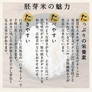 ＜7～9月配送不可＞鳥取県産胚芽米(計7kg・5kg袋 / 2kg袋)鳥取県 鳥取産 お米 おこめ 精米 おにぎり おむすび ごはん お弁当 常温 健康 ビタミン 食物繊維【sm-CL001】【豆ひと