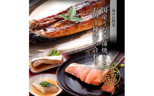 
煮魚 焼魚 4種16切+うなぎ蒲焼1尾 セット 【 たからや商店 うなぎ 鮭 かれい ぶり さば 小分け 真空パック 】[B-088010]
