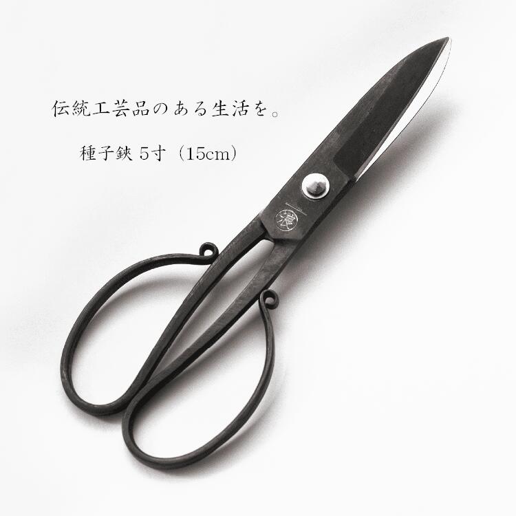 【ふるさと納税】種子鋏5寸（黒仕上）：木箱入