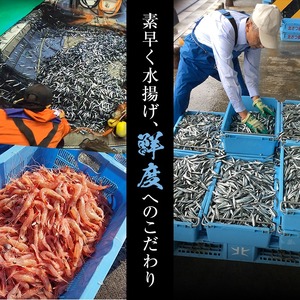 冷凍じゃがいも (計2kg・250g×8袋) ジャガイモ ニシユタカ にしゆたか 冷凍 ボイル 小分け 小玉 小さめ フライ アヒージョ スープ カレー シチュー 簡単調理 お弁当 おかず 野菜 赤土