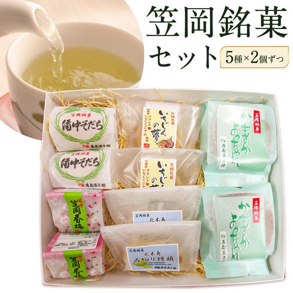 お菓子 笠岡 銘菓 セット 5種 × 2個ずつ 藤屋菓子舗 《30日以内に出荷予定(土日祝除く)》岡山県 笠岡市 お菓子 和菓子 饅頭 最中 詰め合わせ スイーツ---F-27a---