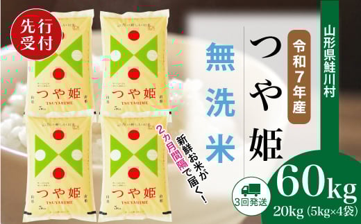 
            ＜令和7年産米先行受付＞ 鮭川村 特別栽培米 つや姫 【無洗米】 定期便 60kg （20kg×2ヶ月間隔で3回お届け）＜配送時期選べます＞
          
