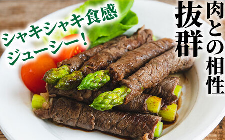 【2024年5月〜発送】【星のアスパラ】グリーンアスパラガス 約2kg / アスパラ アスパラガス 野菜 / 南島原市 / ほしのYA[SEY002]