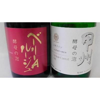 ふるさと納税 山梨県 山梨県産ベーリーA種と甲州種から造った辛口スパークリングワイン2本セット【マンズワイン】 |  | 01