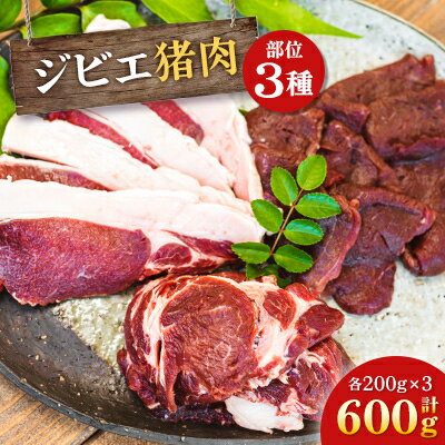 【ふるさと納税】ジビエ猪肉部位3種セット【配送不可地域：離島】【1483739】