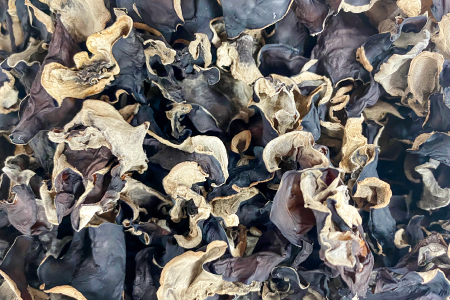 オーガニック乾燥しいたけ（20ｇ×5袋）＆乾燥きくらげ（20ｇ×5袋）セット【保存食 長期保存 椎茸 シイタケ 木耳 キクラゲ 乾燥 野菜】