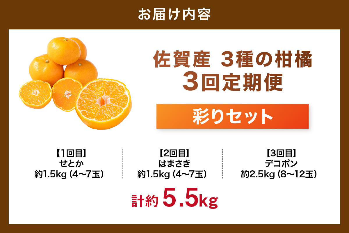 佐賀産 柑橘定期便 彩りセット【全3回】 せとか はまさき デコポン 999-B859
