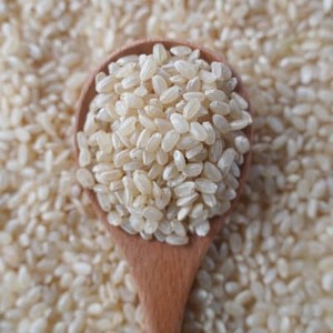 有機こしひかり【玄米】500g×6袋(令和7年産)【1709186】