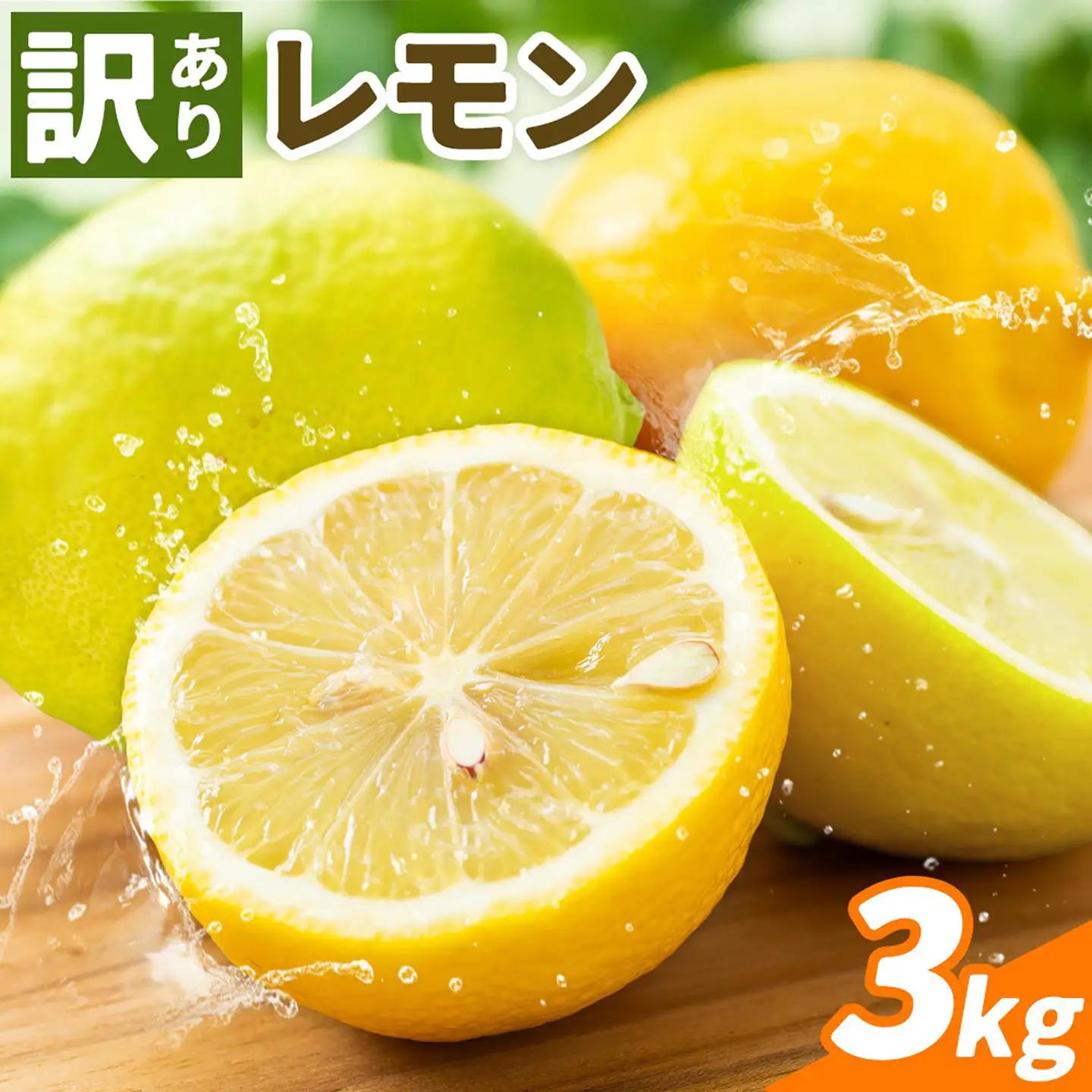 レモン 訳あり 3kg レモン