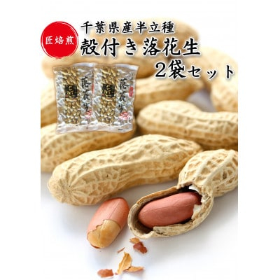 
香取市産 から付き落花生(千葉半立) 300g×2袋セット 計600g【1460978】
