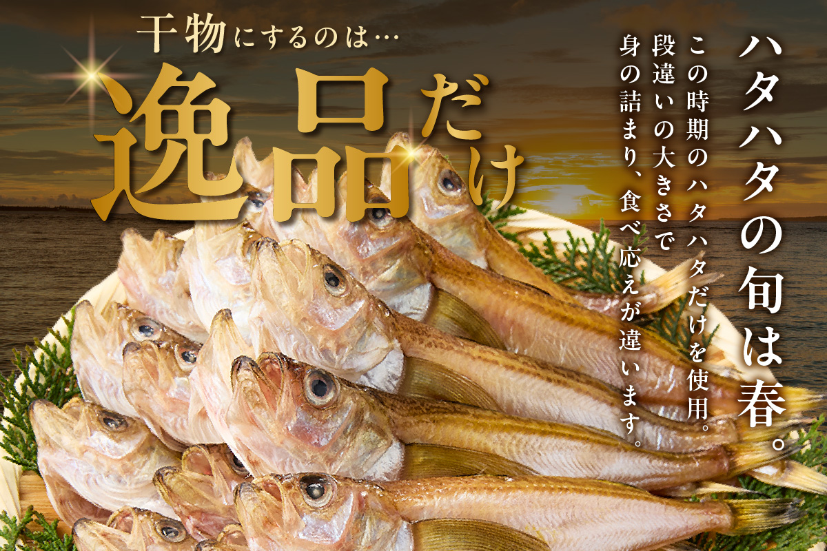 干ハタハタ1kg　08-08　