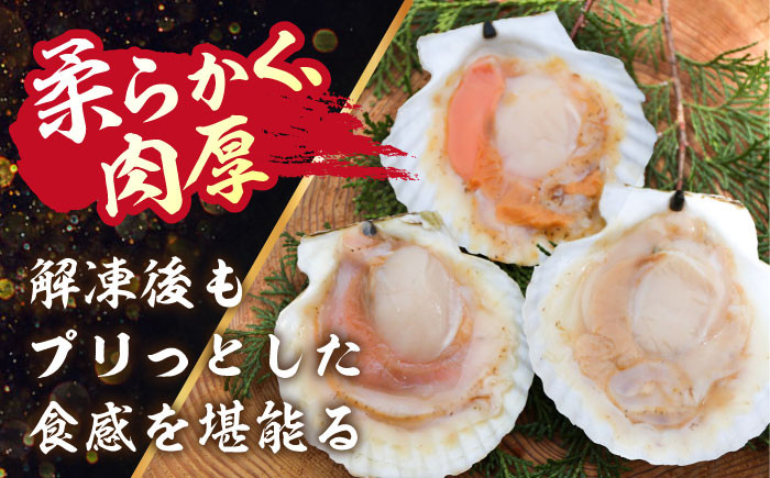 ほたて ホタテ 帆立 海鮮 冷凍配送 北海道