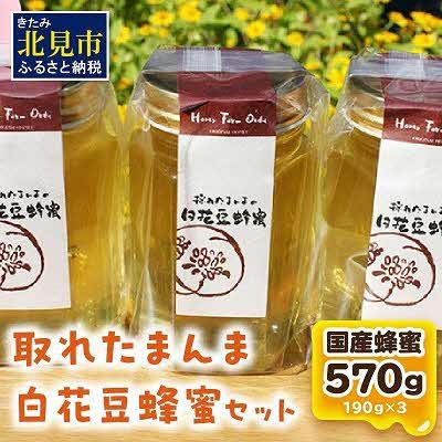 ふるさと納税 北見市 【国産蜂蜜】北の大地で採れたまんまの白花豆はちみつ　190g3本セット