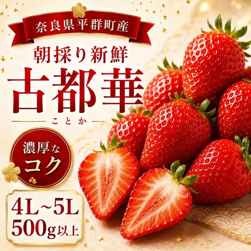 AO04 朝採りの新鮮な古都華４L～5L 500ｇ以上 いちごいちえ | 果物 くだもの フルーツ 苺 イチゴ いちご ストロベリー 古都華 ことか 希少 濃厚コク 芳醇 果肉 しっとり 旬の品種 奈