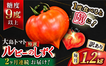 2026年3月発送開始 2回定期便 訳あり ルビーのしずく 約1.2kgCCK031 トマト トマト トマト トマト トマト トマト トマト