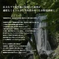 裏磐梯百年水 ナチュラルミネラルウォーター（500ml×24本 1箱） KBJ010